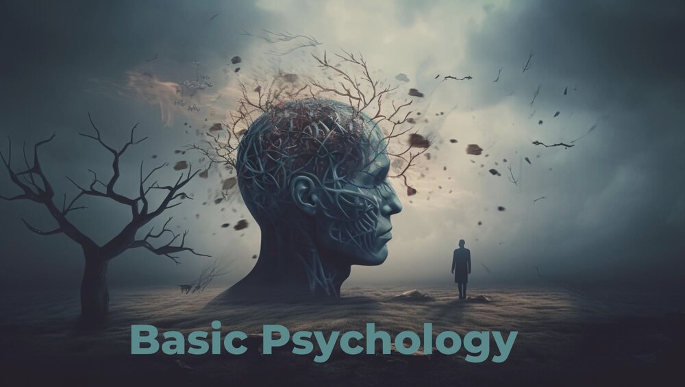 The basics of psychology